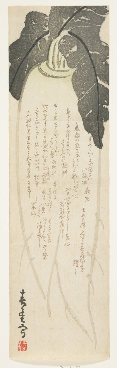 Daikon-Rettich, Januar 1864 von Shunsei